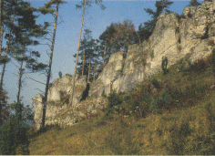 Apollo_Felsfrei_nachher.gif (38491 Byte)