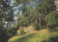Apollo_Felsfrei_vorher.gif (41504 Byte)