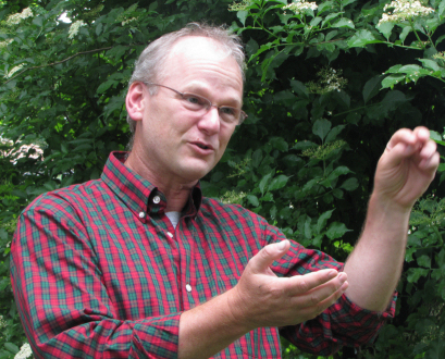 Apollofalter auf Doli