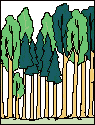 Hochwald