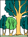 mw.gif (1709 Byte)